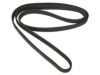 ALLMAKES 53010269 V-Ribbed Belts